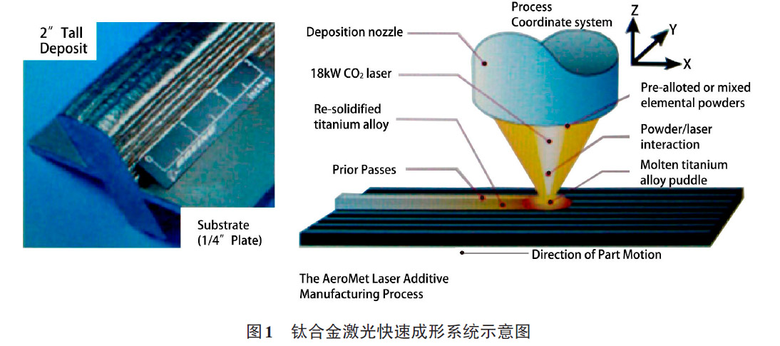 1657923929335575.jpg 1.jpg