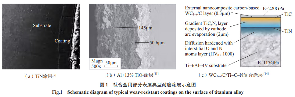 1667359599311363.jpg 1652567794778555.jpg