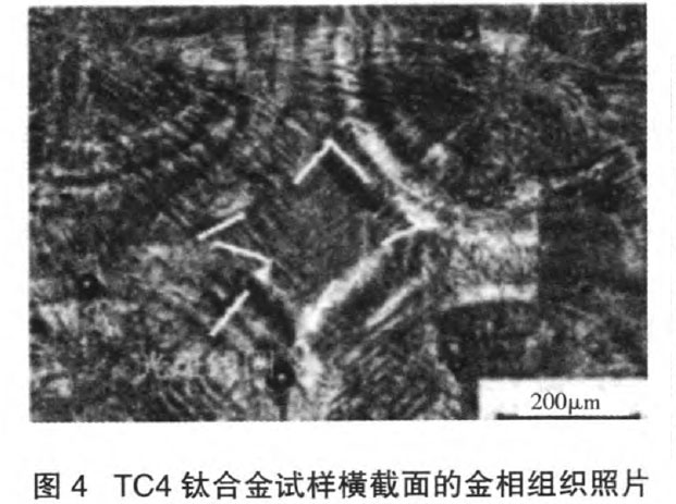 1668849369989727.jpg s4.jpg