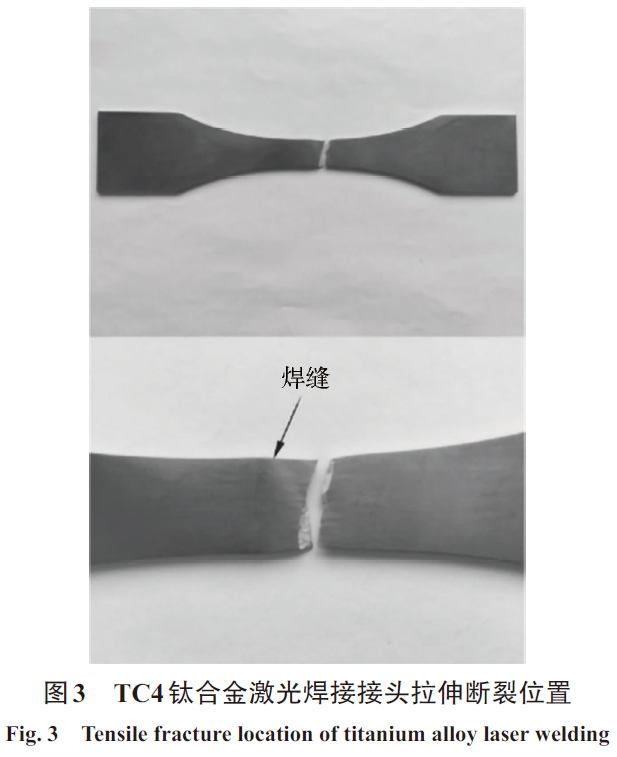 1682599433194295.jpg t3.jpg