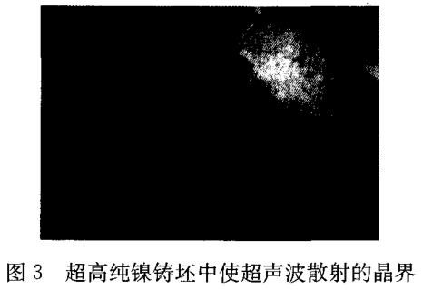 1687079418763900.jpg t3.jpg